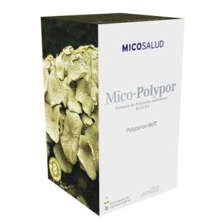 Hifas Da Terra Mico Salud Mico Polypor 70 Cápsulas