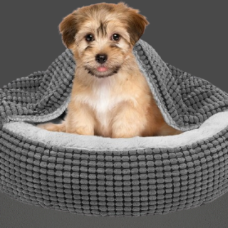 Cama pequena para perros con manta adjunta