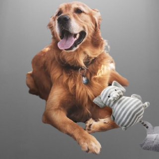 Almohadilla de jaula para perros grandes