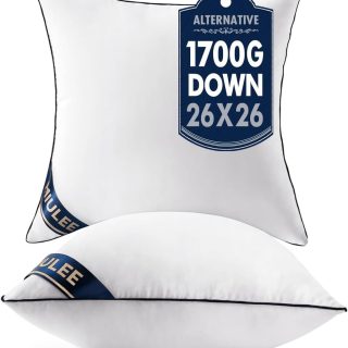 Juego de 2 almohadas acolchadas.