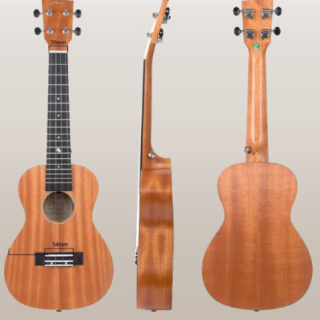 Paquete de ukalalee con bolsa de concierto