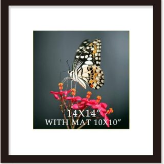 Marco negro de 14 x 14 pulgadas con paspartu de madera maciz