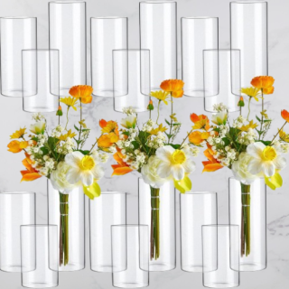 Jarrones cilíndricos de vidrio transparente alto