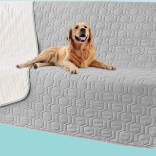 Funda impermeable y antideslizante para mascotas