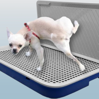 Orinal para perros para interiores con pared de salpicadura