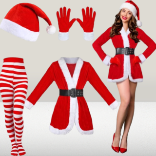 Disfraz de Papá Noel de 5 piezas para mujer ideal para halloween