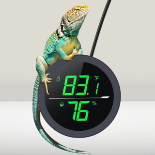 Termómetro de tanque de reptiles