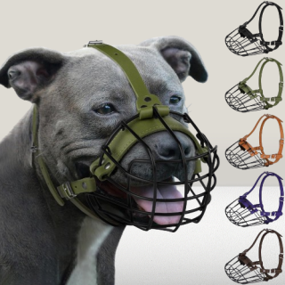 Bozal para perro Pitbull