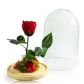 Cúpula Rosa Eterna L