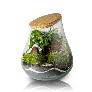 Terrario Peña Mayor