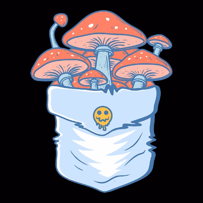 Pocket Mushrooms