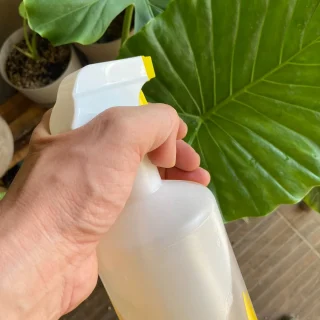 Limpiador de Hojas Grandes para Plantas de Interior – Fórmula Nutritiva y Repelente de Insectos 1L