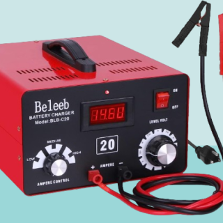 Cargador de bateria ajustable C20 12V 24V 36V 48V 12A