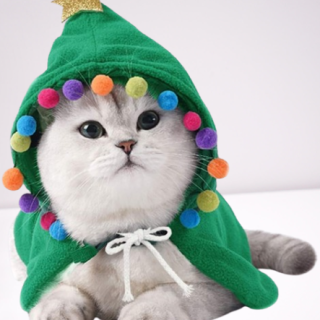 Disfraz de Navidad para mascotas con estrellas y pompones ideal para halloween