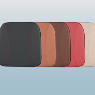 Almohadilla de asisnto Protectora para vehiculo