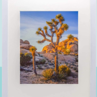 Marco de madera maciza blanca de 16 x 20 pulgadas