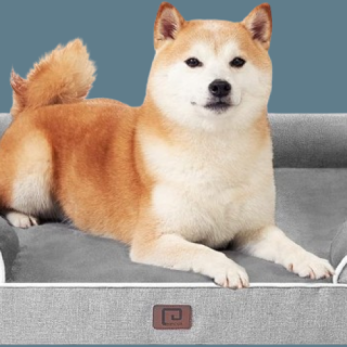 Camas ortopedicas de espuma viscoelastica para perros