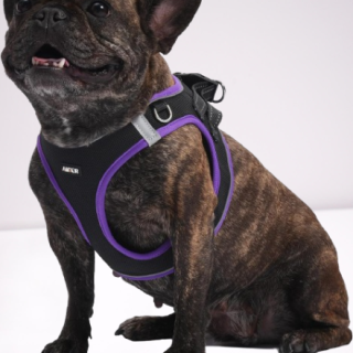 Arnés para perro con juego de correa arnés reflectante