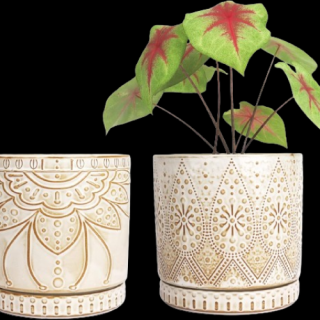 Macetas de interior de 6 pulgadas con agujeros de drenaje