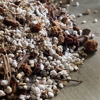 🌵 Sustrato Especial para Suculentas y Cactus