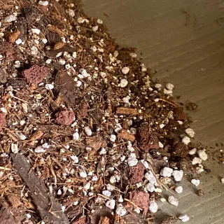 🌿 Sustrato Premium para Alocasias, Potus y Más