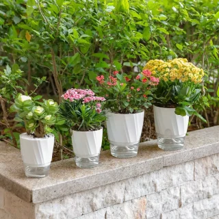 🌼 Macetas de Autorriego: Cultiva con Inteligencia y Estilo 🌺